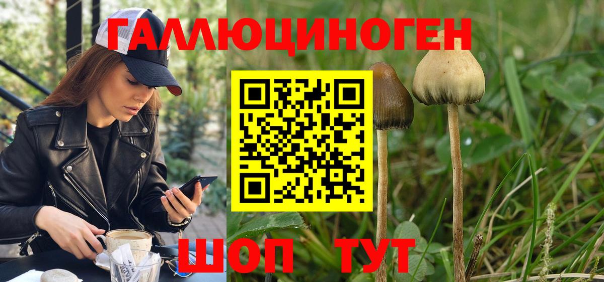 Новый Уренгой  Псилоцибиновые грибы Psilocybe  дарнет шоп  Вход с VPN 